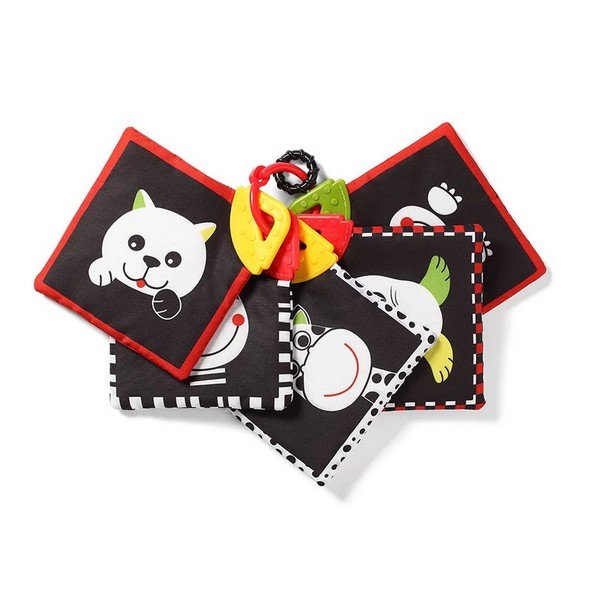 Продукт Babyono Dream Team C-More - Образователни карти  - 0 - BG Hlapeta